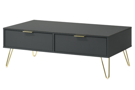 GLAM Coffee Table with 2 Storage Drawer