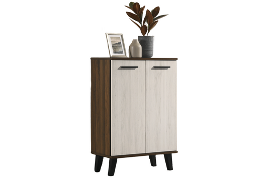 SLEEK 2 Door Shoe Cabinet